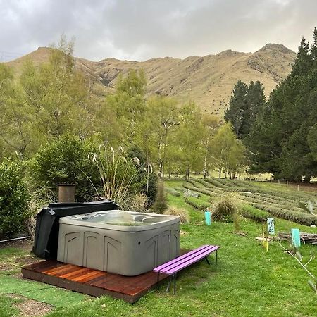 Danseys Pass Lavender Farm Villa Tokarahi Exteriör bild